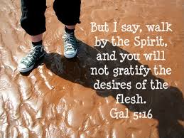 stop sinning galatians