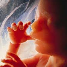abortion baby sucking thumb