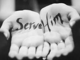 servant 5