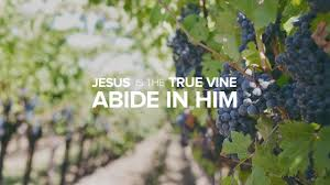 abiding 1