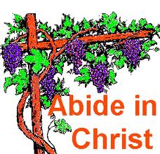abiding best